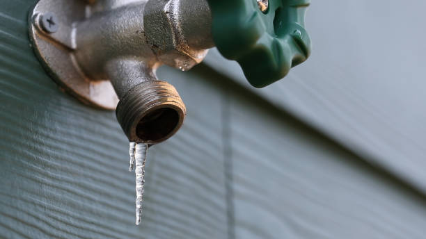 Best Local Plumber Services  in Waynesboro, TN